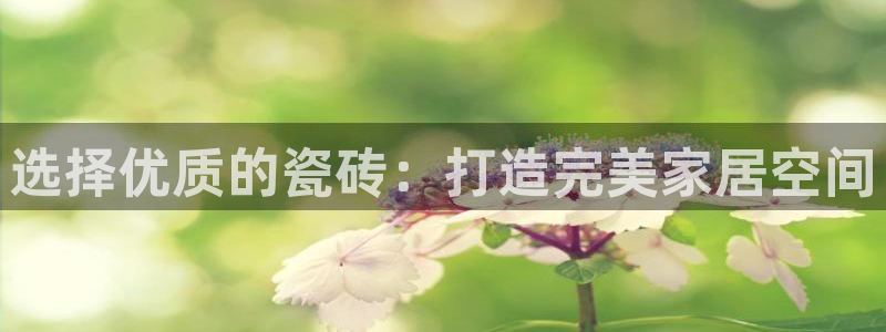 必一体育app官方下载入口