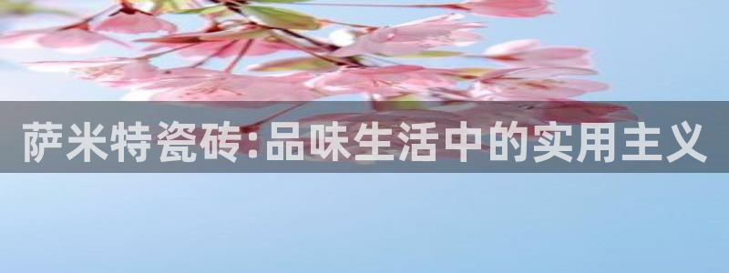 必一体育没了