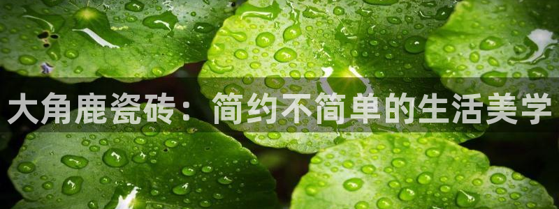 必一体育sport装机吧
