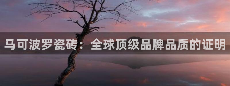 Bsport体育必一
