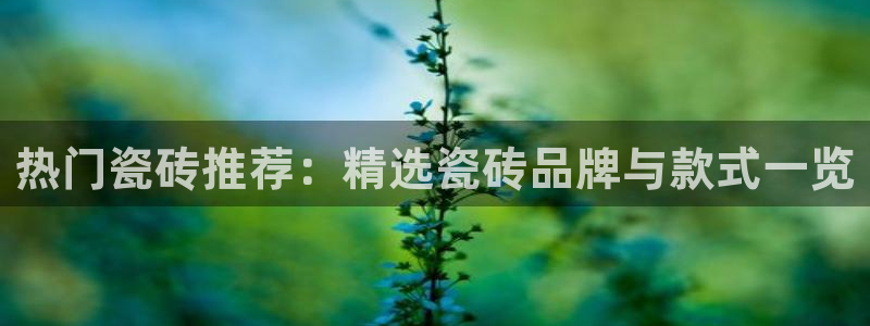 必一体育运动app下载