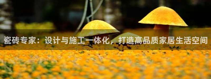 必一运动aop