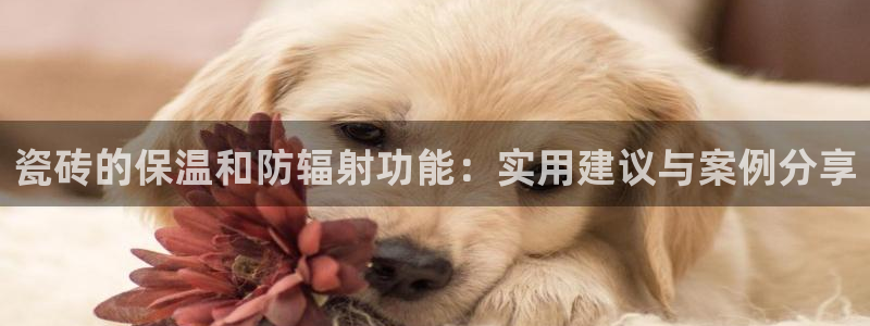 必一体育最新官网入口首页
