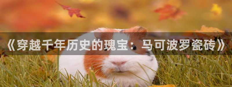 必一体育游戏玩法