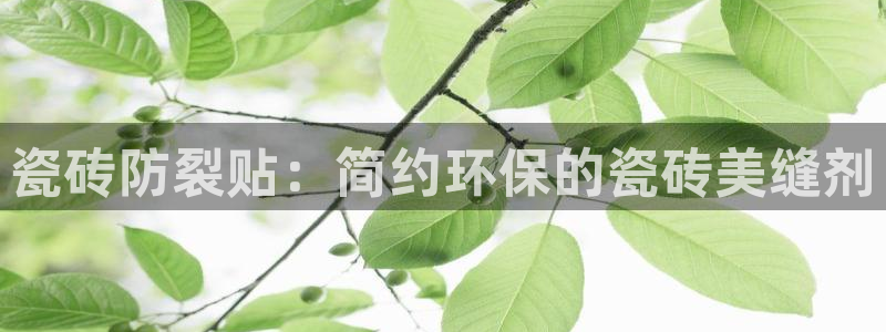 必一体育sportB体育