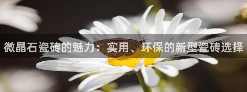 必一体育sport下载