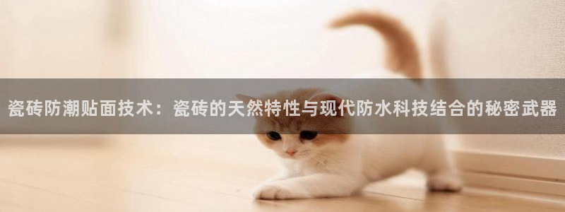 必一体育在哪下