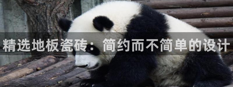 必一体育最新官网入口首页