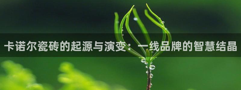 Bsport体育必一