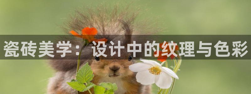 必一体育下载