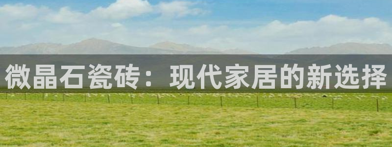必十二和必一的副作用