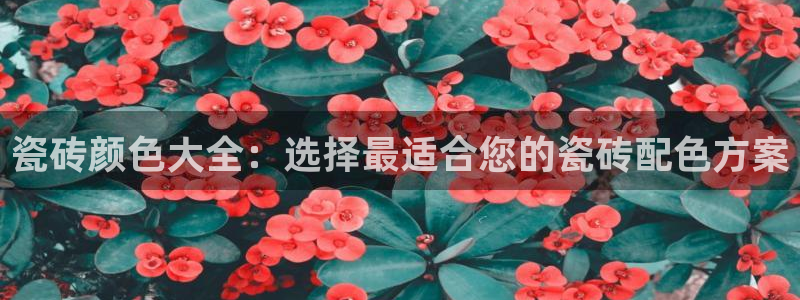 b体育必一下载