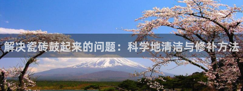 必一体育app官方下载