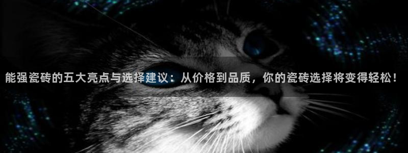 必一体育官网网站