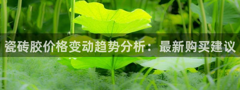 必一体育下载app