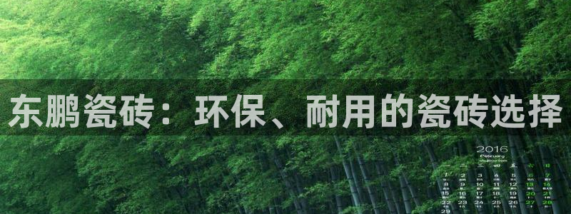 必一体育sportB体育