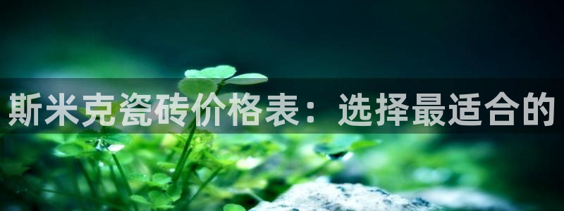 必一体育网页登录版官网