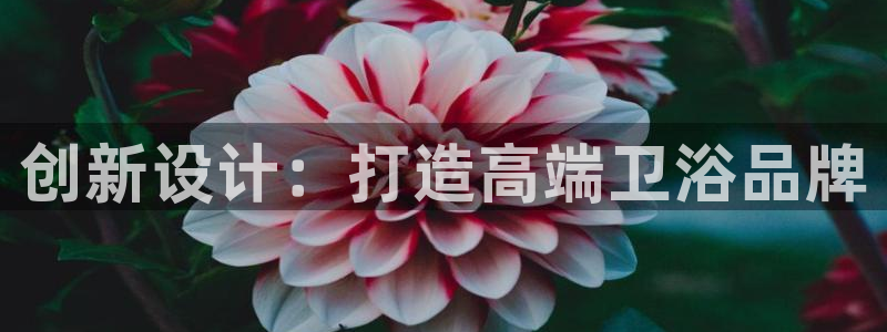 必一体育sport官网