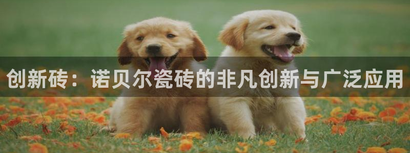 必一体育运动app