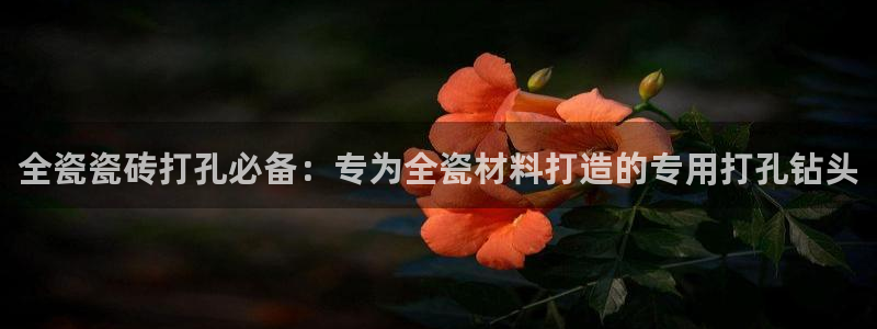 必一体育官方入口