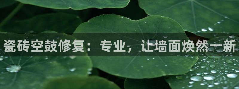 必一运动sport网页版