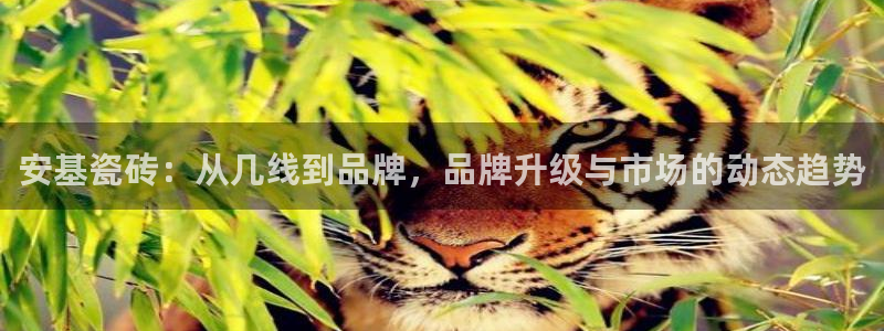 必一体育