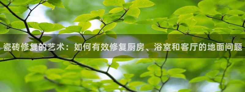 必一体育运动app下载